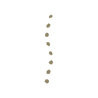 Design Gold Sticker