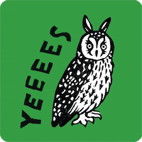 Birds Yes GIF
