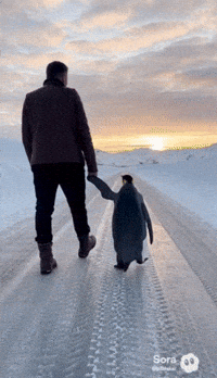 fotokolik penguen pengui bilalakarfotokolik GIF