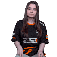The Bears Esports Sticker by Virtus.pro
