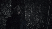 Episode 1 GIF by Murdoch Mysteries