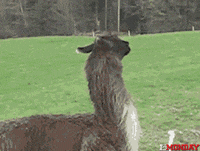 GIF by FirstAndMonday
