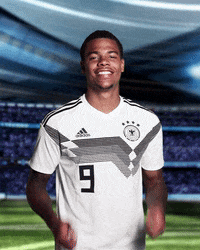 sportschau sticker germany uefa deutschland GIF