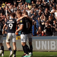 The Den Win GIF by MillwallFC