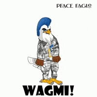 PeaceEagleNFT party lfg lets do this to the moon GIF