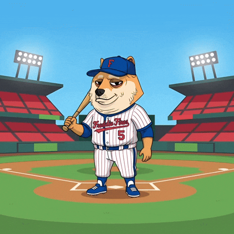 Shiba Inu Baseball GIF by Doge Pound