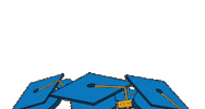 Cuny2026 Sticker by The City University of New York