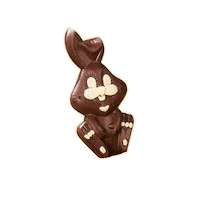 Decacau Decacauchocolates Decacau Chocolates Chocolates Incomparavel Serra Gaucha Serragaucha Sticker by DeCacau Store