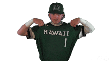 College Baseball Sticker by Hawaii Athletics
