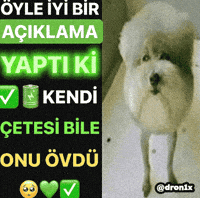 Dog Azad GIF