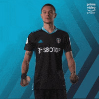 Premier League Football GIF by Prime Video