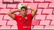 Sl Benfica Gabriel GIF by Sport Lisboa e Benfica