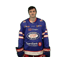 Nick Sticker by VIF Hockey