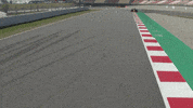 redbullracing car racing race 2019 GIF