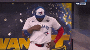 Blue Jays Sport GIF by MLB