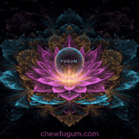 Lotus Flower GIF by Fugum