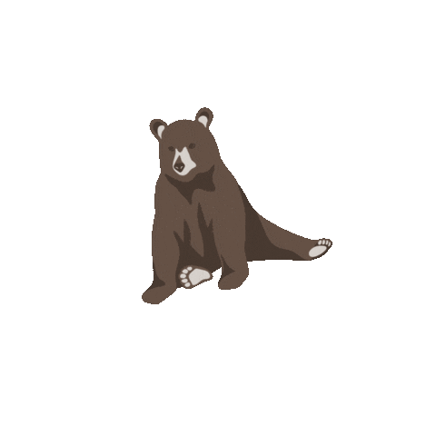 Bear Sticker by Kyte Baby