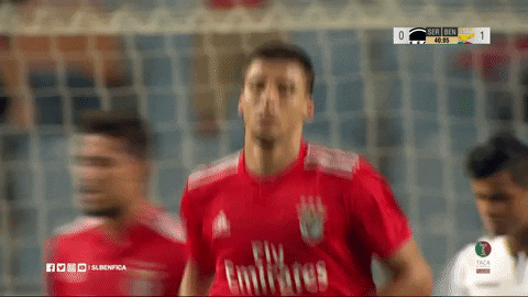 sl benfica slbgifs GIF by Sport Lisboa e Benfica
