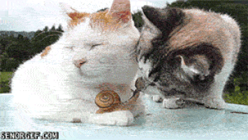 look friend GIF