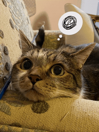 Deep Thoughts Ugh GIF