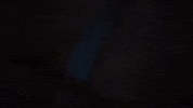Wtm GIF by Walk The Moon