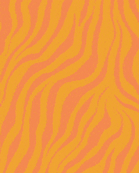 safariplay indoorplay safarimk safariplay GIF