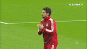 mats hummels yes GIF by FC Bayern Munich