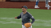 Baseball Mlb GIF by New York Mets