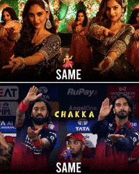 Virat Kohli GIF