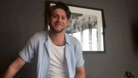 Niall Horan Nova GIF by Smallzy