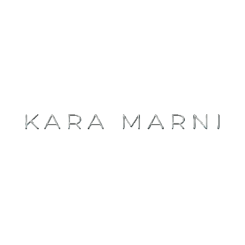 Shine Silver Sticker by Kara Marni for iOS & Android | GIPHY