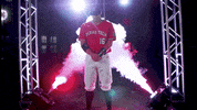 college baseball cws GIF by NCAA Championships
