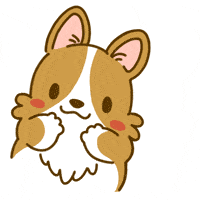 Welsh Corgi What GIF by Lazy Corgi