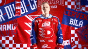 Michal GIF by HC Dynamo Pardubice