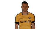 Bundesliga Celebrate Sticker by SG Dynamo Dresden