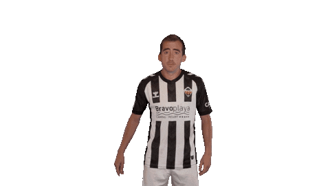 Cdcs Sticker by CD Castellon