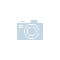 Camera Sticker by Visual Valley