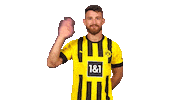 Borussia Dortmund Hello Sticker by Bundesliga