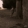 Steve Carell GIF by IFC