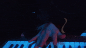 live music piano GIF by Polyvinyl Records