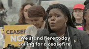 Ilhan Omar Israel GIF by GIPHY News