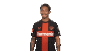 Bayer 04 Flirting Sticker by Bundesliga