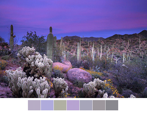 colors landscape GIF