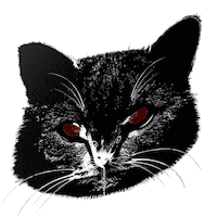 Stephen King Sticker by Proszynski