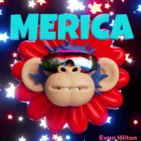 Independence Day Stars GIF by Evan Hilton