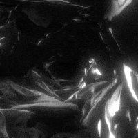 Glow Black And White GIF by xponentialdesign