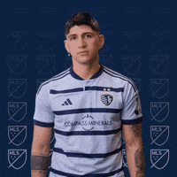 Sporting Kc No GIF by Major League Soccer