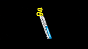 LhG_Niedersachsen hochschule lhg liberale hochschulgruppe hochschulpolitik GIF