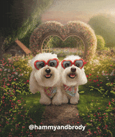 GIF by HammyandBrody