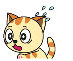 Cat GIF by GoodMorningCat